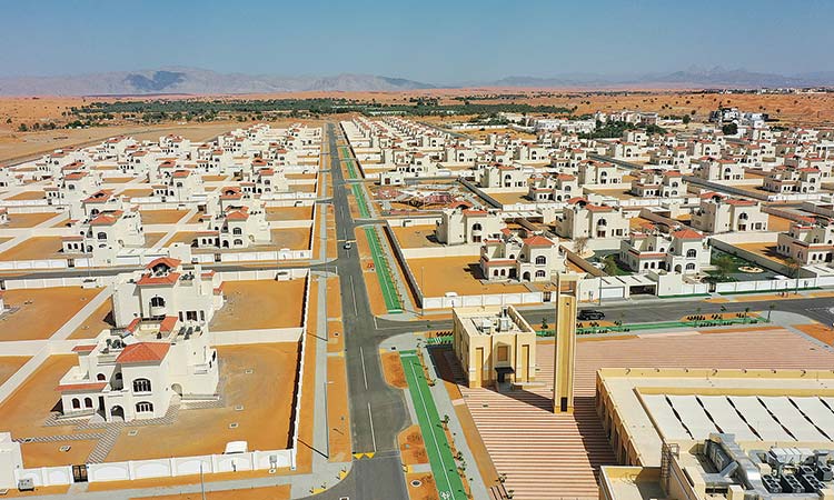 THE VILLAGES ZONE D 
